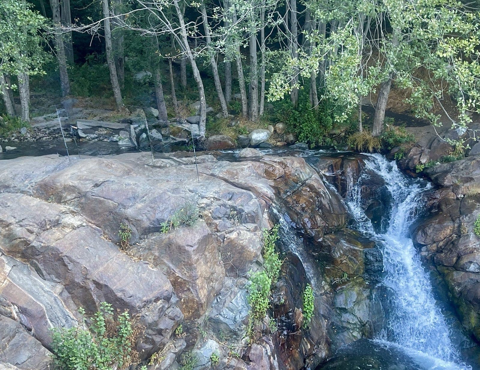 Etiwanda Falls spilling over granite ledges into a pool below, with alders lining the creek above